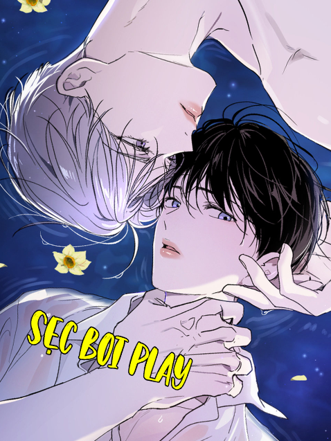 ÁNH MẮT LẠC NHỊP