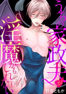 chang-quan-gia-cua-toi-hinh-nhu-la-mot-incubus