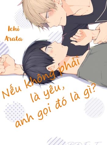 neu-khong-phai-la-yeu-anh-goi-do-la-gi