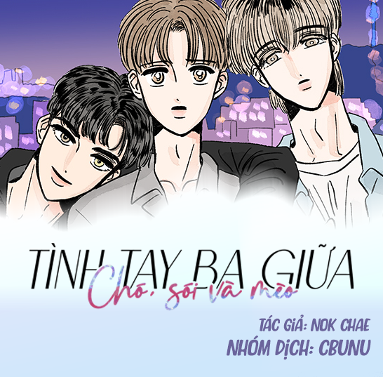 tinh-tay-ba-giua-cho-soi-va-meo