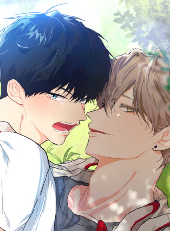 Vị Khách Nhà Phía Sau